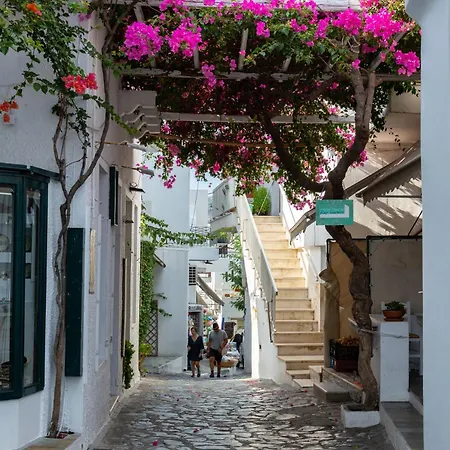 Apartamento Mary's House 2 Skyros